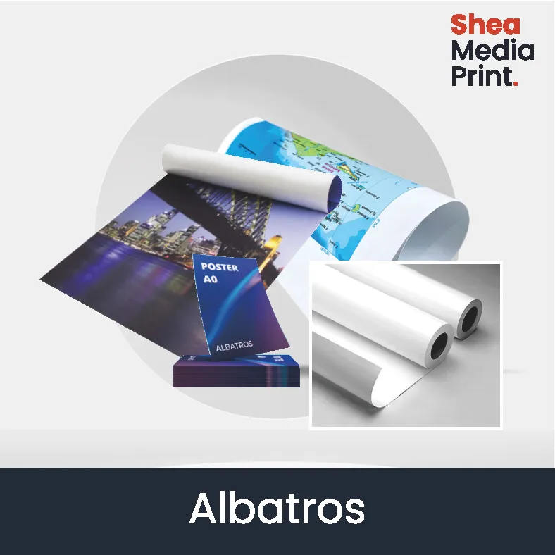 Albatros